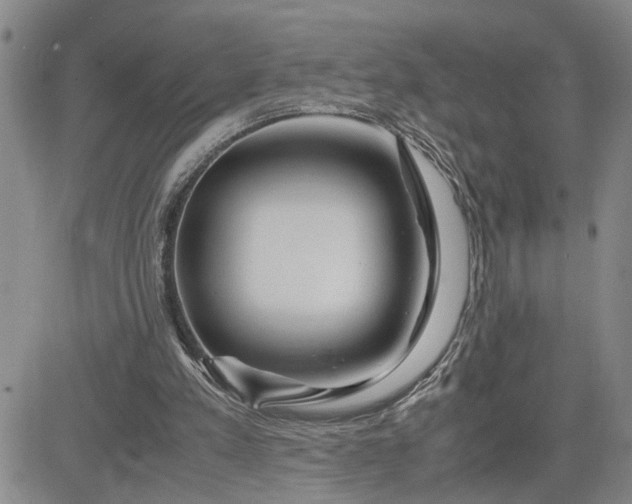 X0000083620197200702261002