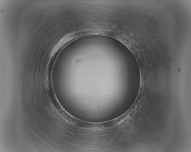 X0000083620198200702261002