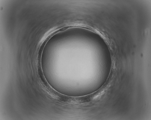 X0000083620199200702261002