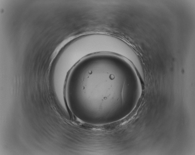 X0000083620200200702261002