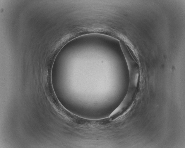 X0000083620201200702261002