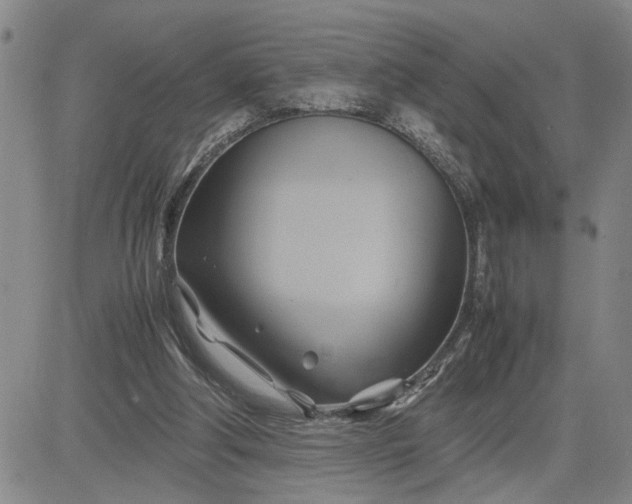 X0000083620202200702261002