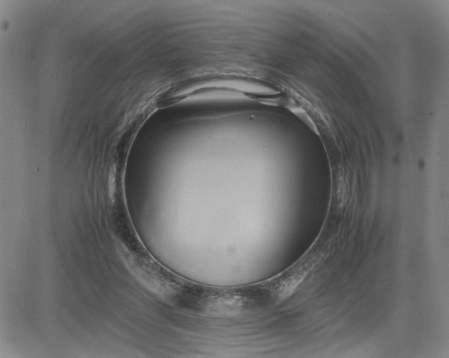 X0000083620206200702261002