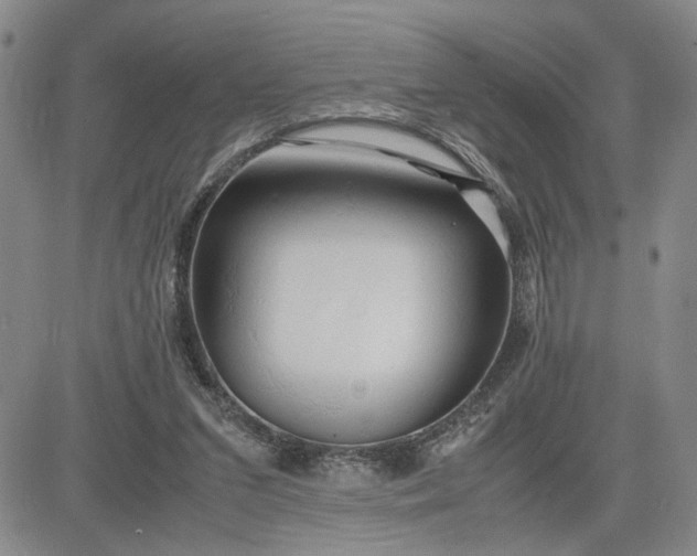 X0000083620207200702261002