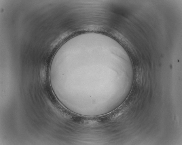 X0000083620208200702261002