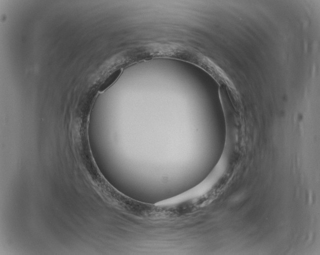 X0000083620209200702261002