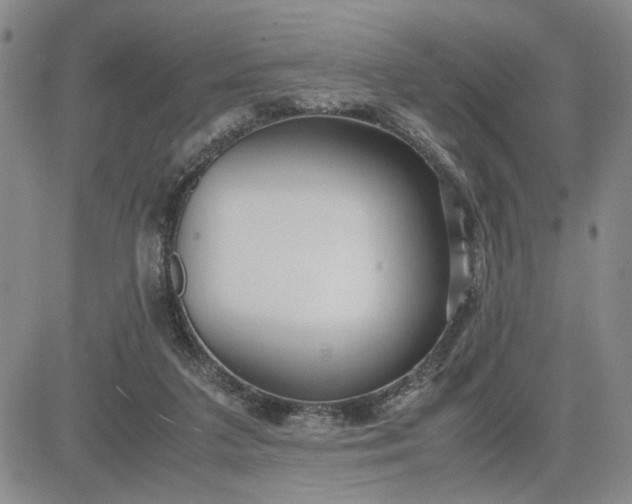 X0000083620211200702261002