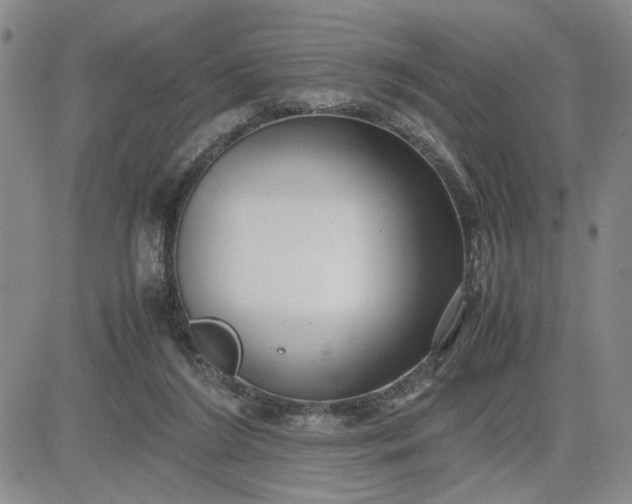 X0000083620212200702261002