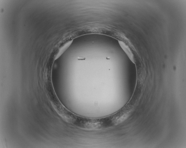 X0000083620213200702261002