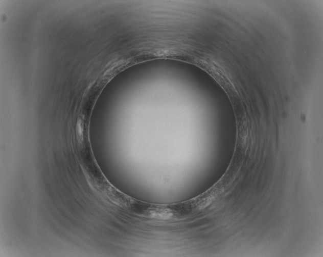 X0000083620214200702261002