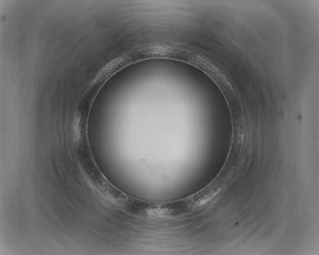 X0000083620216200702261002