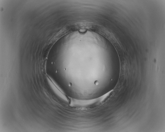 X0000083620218200702261002