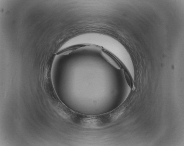 X0000083620219200702261002