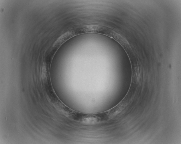 X0000083620220200702261002