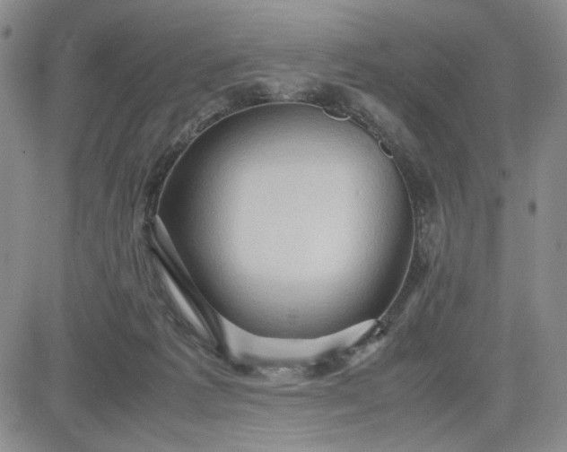 X0000083620221200702261002