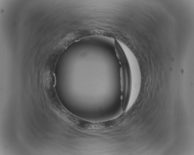 X0000083620223200702261002