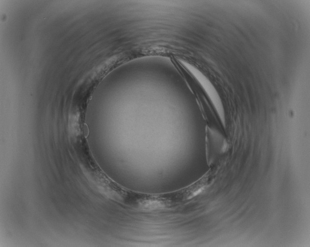 X0000083620224200702261001