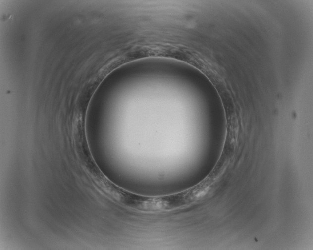 X0000083620225200702261001