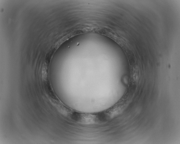 X0000083620226200702261001