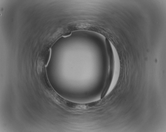 X0000083620227200702261001