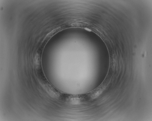 X0000083620228200702261001