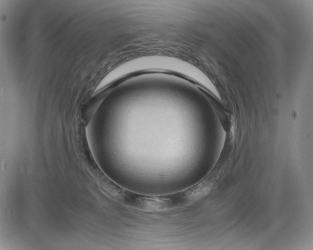 X0000083620229200702261001