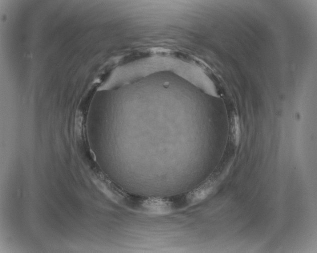 X0000083620231200702261001