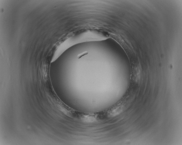 X0000083620232200702261001