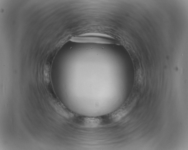 X0000083620234200702261001