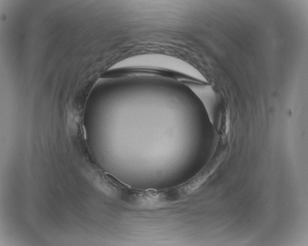 X0000083620235200702261001