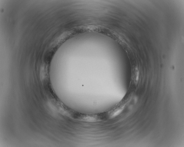 X0000083620236200702261001