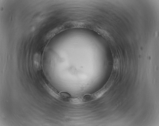 X0000083620238200702261001