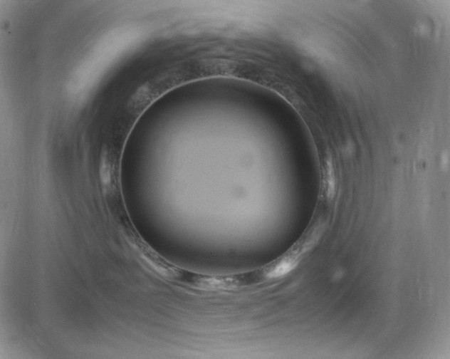 X0000083620239200702261001