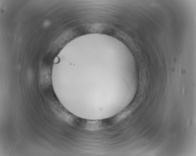 X0000083620240200702261001