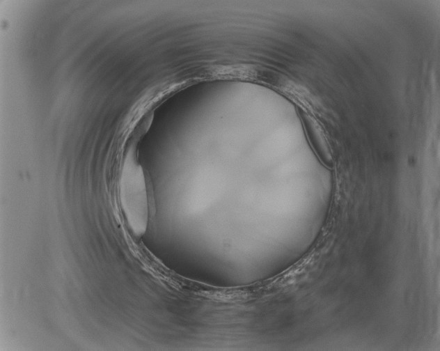 X0000083620241200702261000