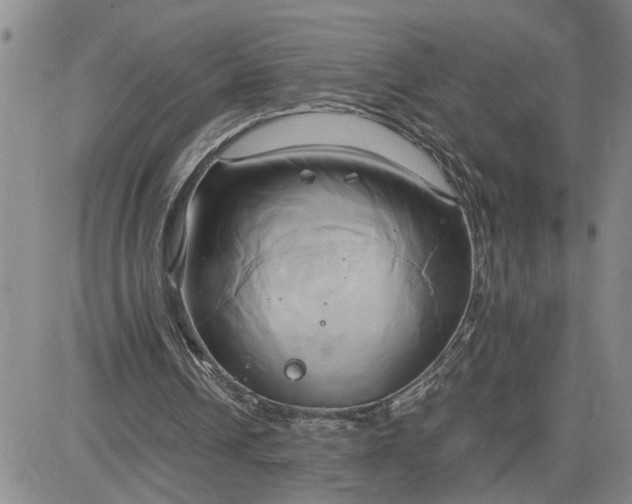 X0000083620242200702261000