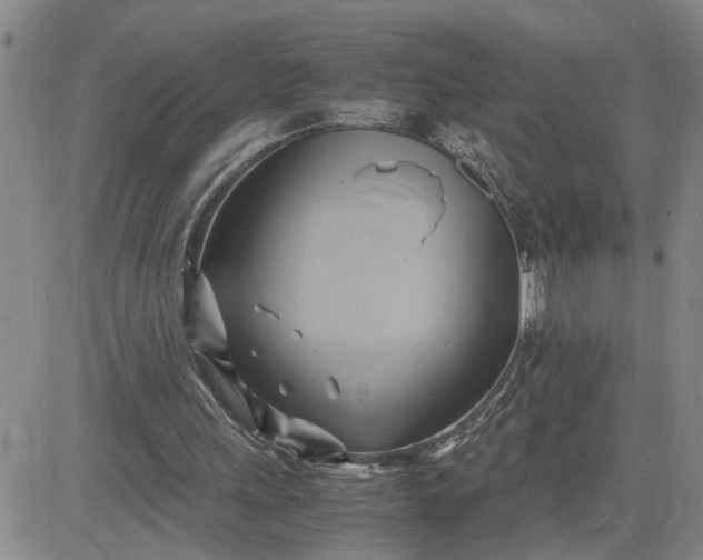 X0000083620243200702261000