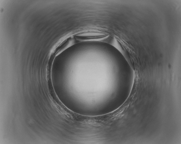 X0000083620244200702261000