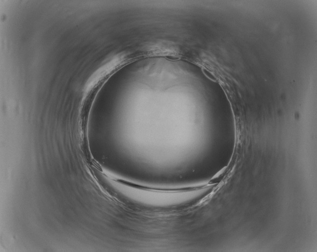 X0000083620245200702261000