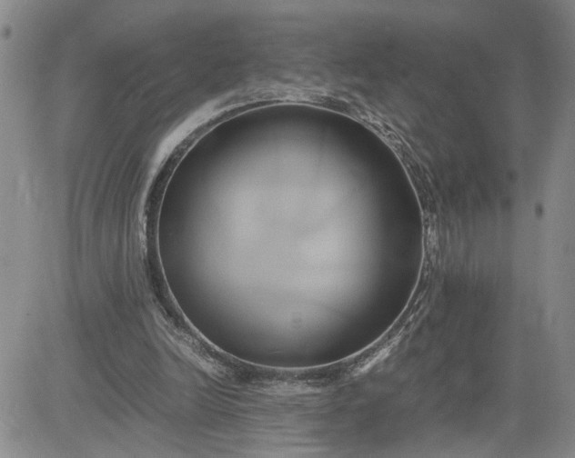 X0000083620246200702261001