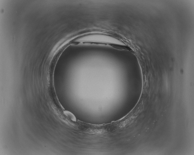 X0000083620247200702261001