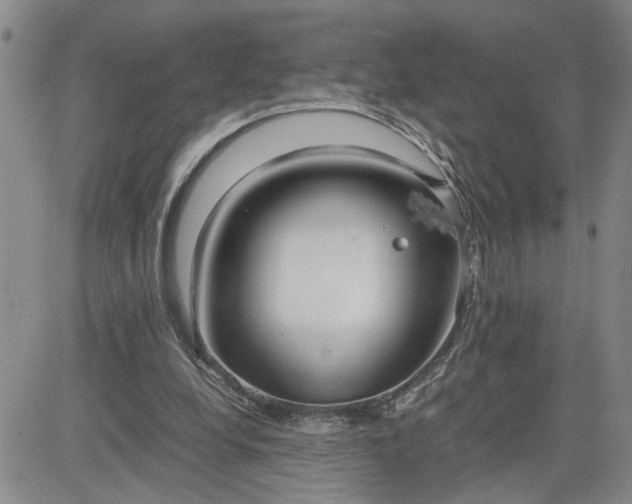 X0000083620248200702261001