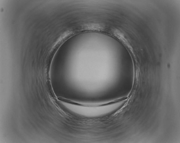 X0000083620249200702261001