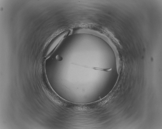 X0000083620250200702261001