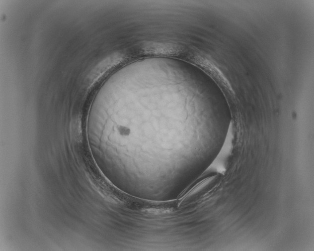 X0000083620251200702261001