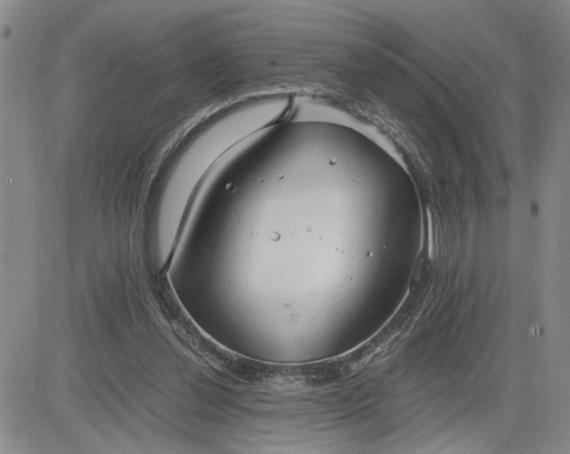 X0000083620252200702261001