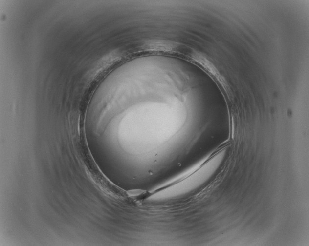 X0000083620253200702261001