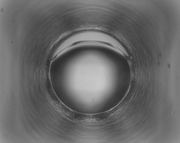 X0000083620256200702261001