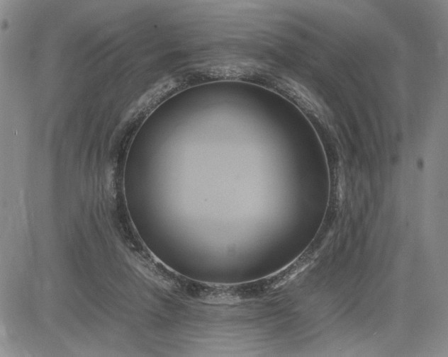 X0000083620258200702261001