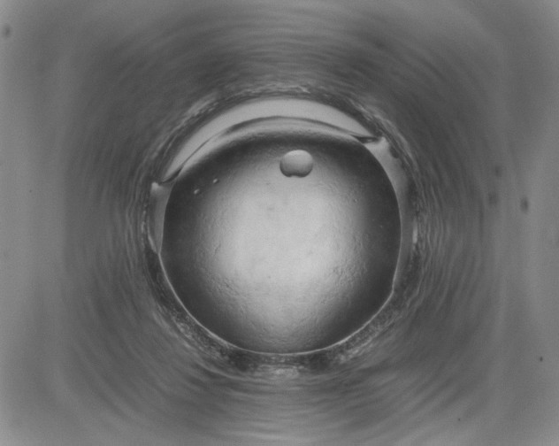 X0000083620260200702261001